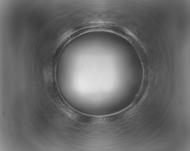 X0000056021259200508191318