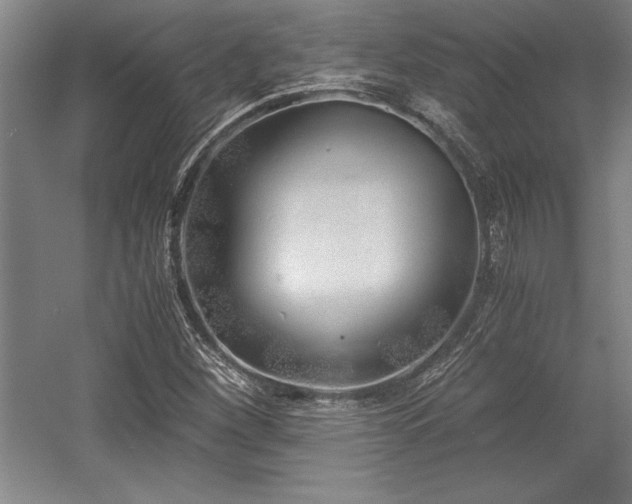 X0000056021260200508191318