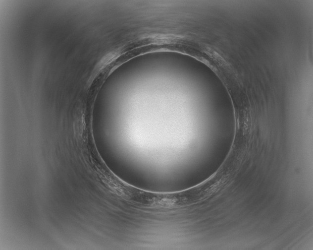 X0000056021261200508191318