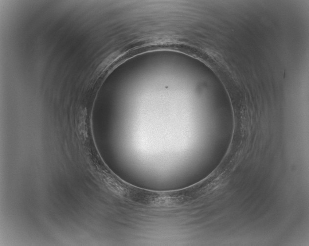 X0000056021265200508191318
