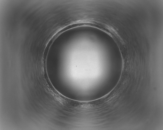 X0000056021268200508191318