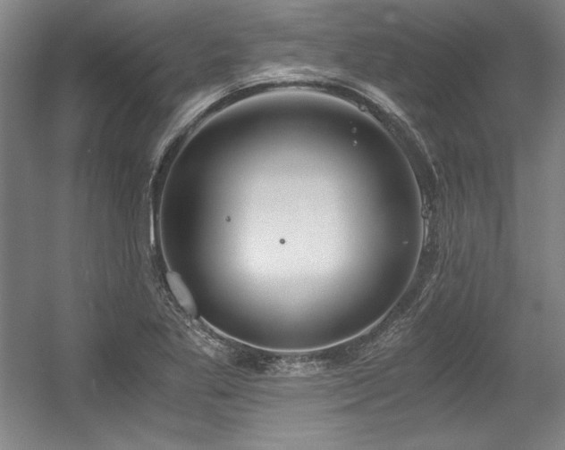 X0000056021269200508191318