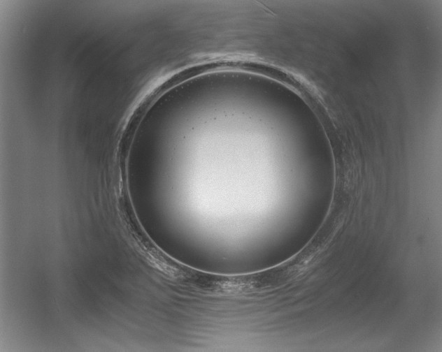 X0000056021271200508191318