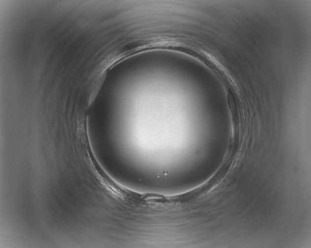 X0000056021281200508191318