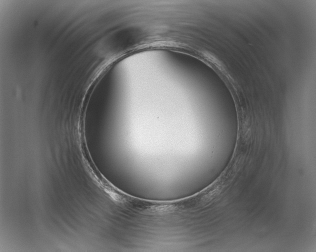 X0000056021282200508191318