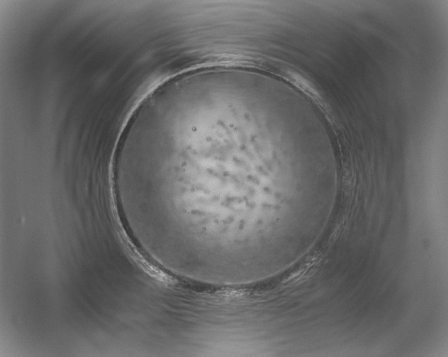 X0000056021283200508191318
