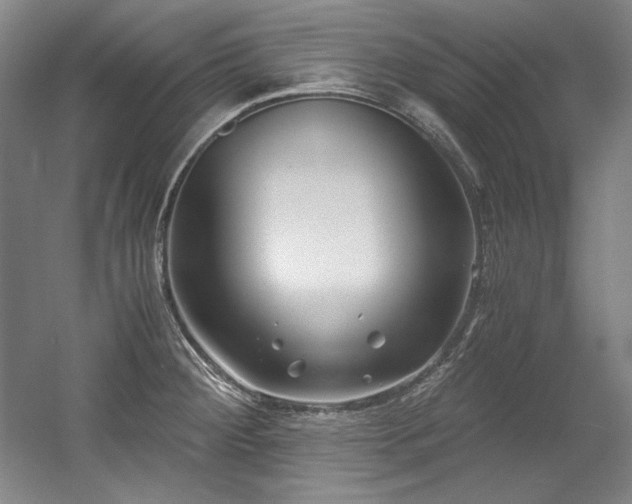 X0000056021284200508191318