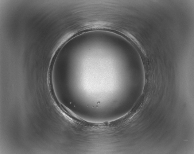 X0000056021285200508191318
