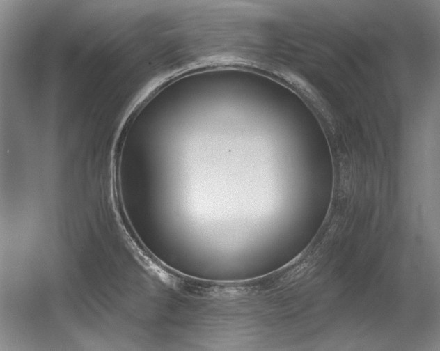 X0000056021286200508191318