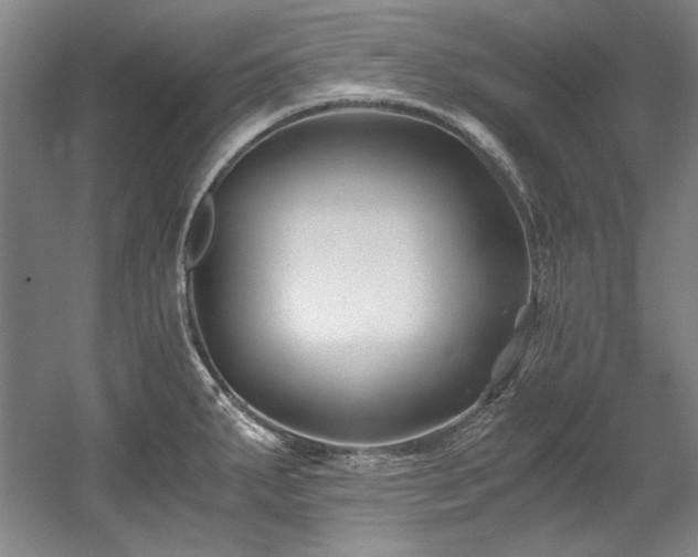 X0000056021287200508191318