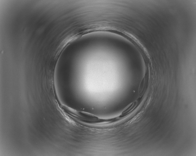 X0000056021289200508191318