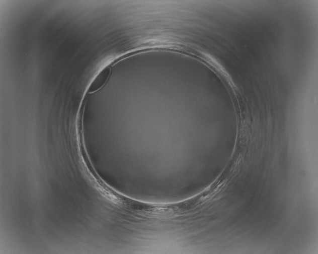 X0000056021291200508191318