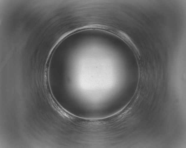 X0000056021292200508191318