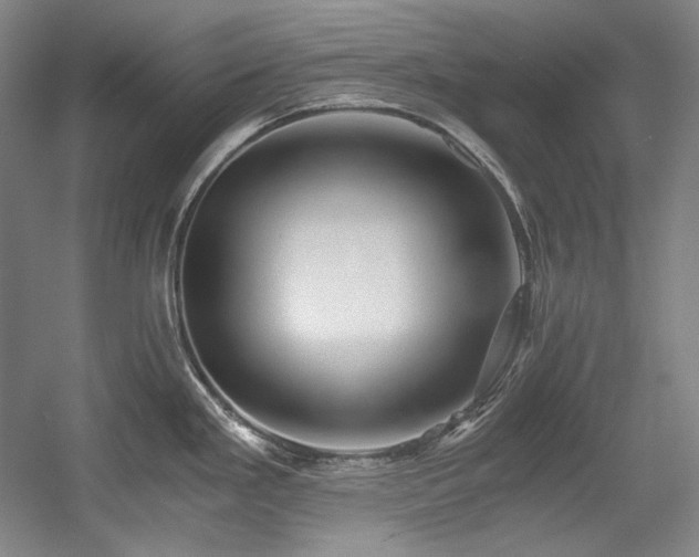 X0000056021293200508191318