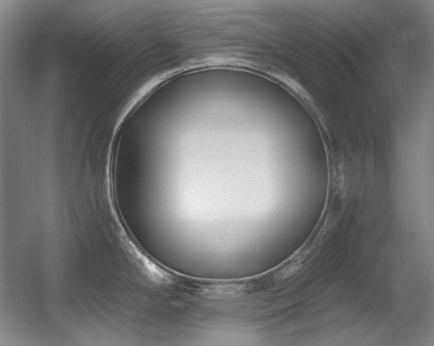 X0000056021294200508191318