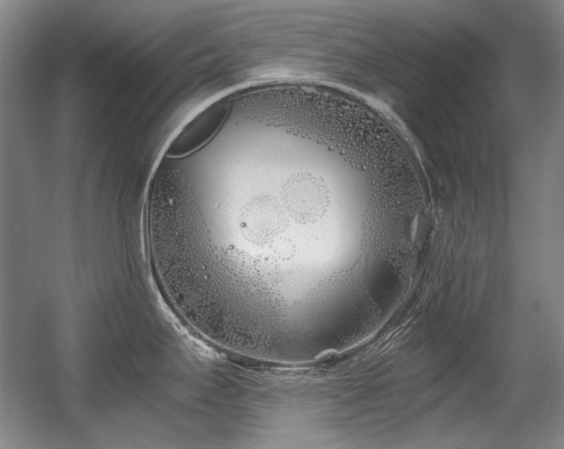 X0000056021295200508191317