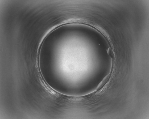 X0000056021296200508191317