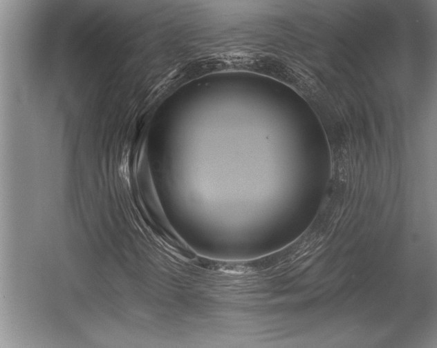 X0000056021298200508191317