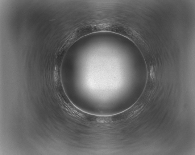 X0000056021299200508191317