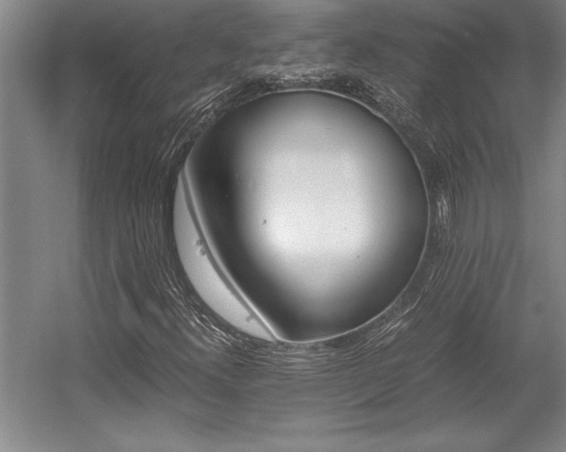 X0000056021300200508191317