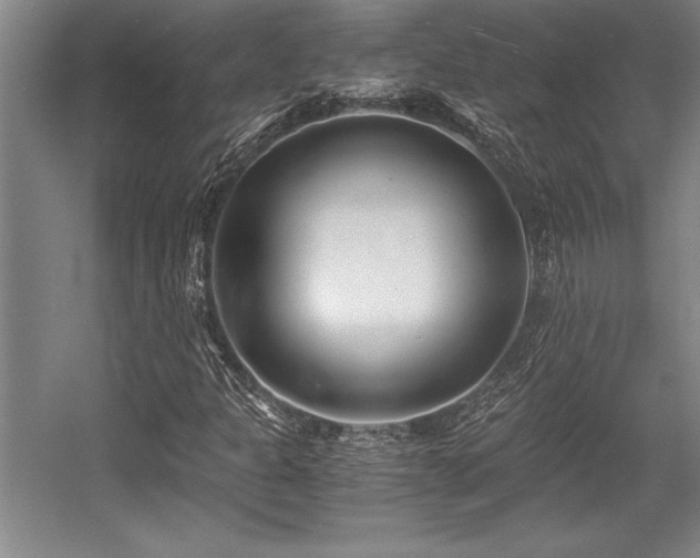 X0000056021301200508191317