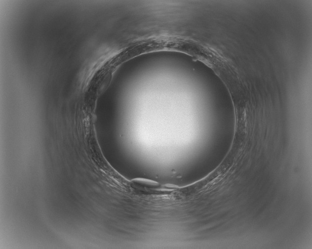 X0000056021302200508191317
