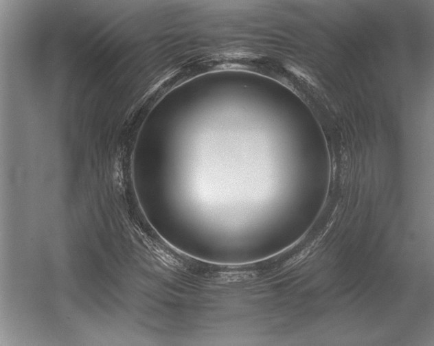 X0000056021305200508191317