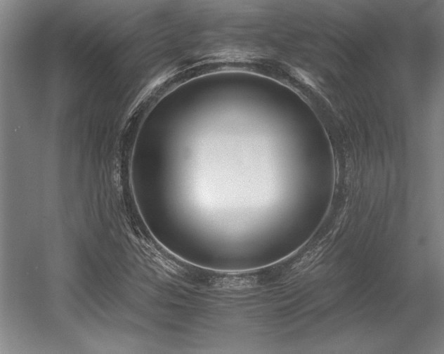 X0000056021307200508191317