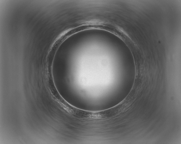 X0000056021315200508191317
