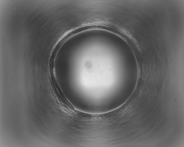 X0000056021316200508191317