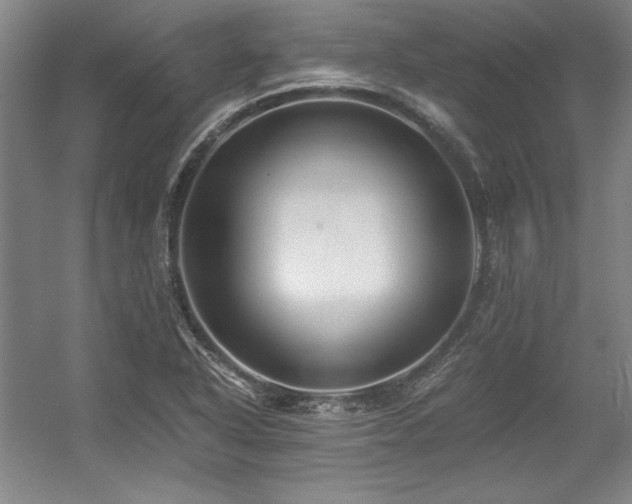 X0000056021318200508191317