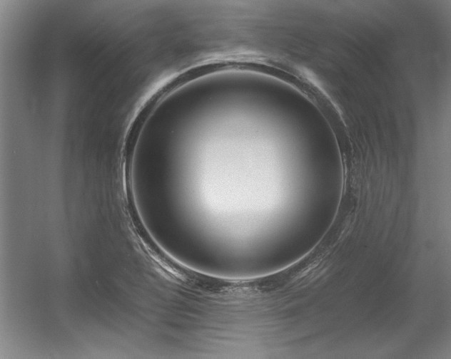 X0000056021320200508191317
