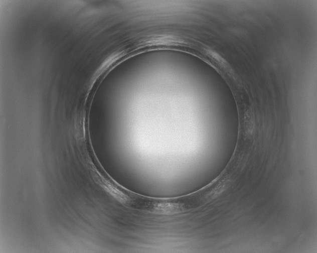 X0000056021322200508191317