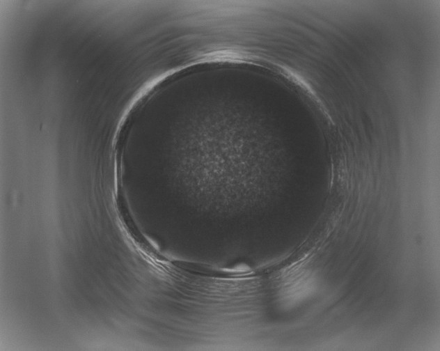 X0000056021323200508191317