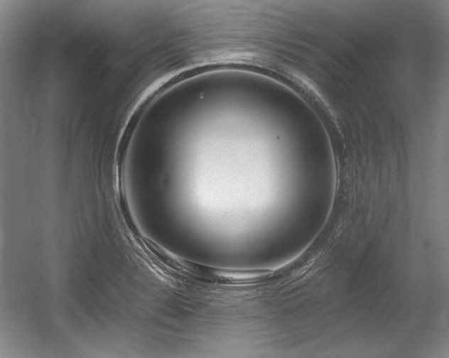 X0000056021324200508191317