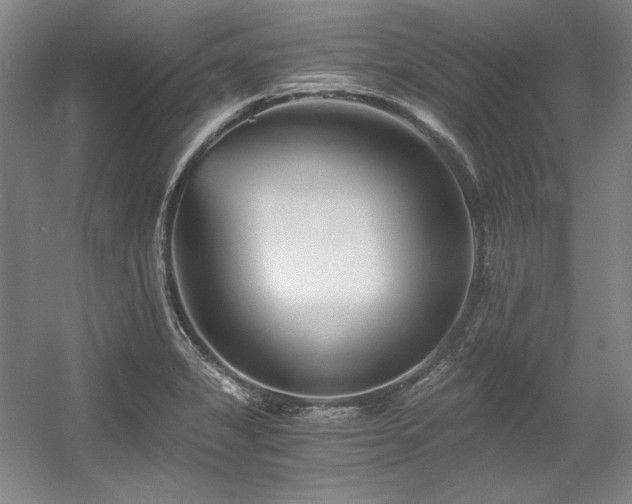 X0000056021325200508191317