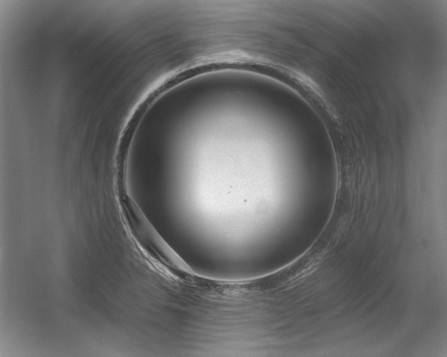 X0000056021326200508191317