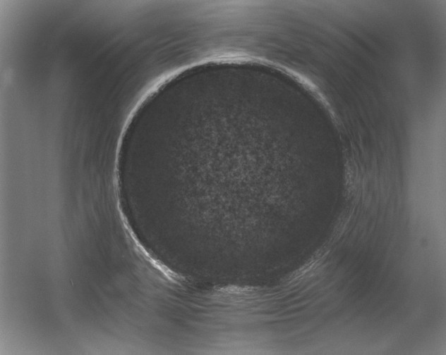 X0000056021327200508191317