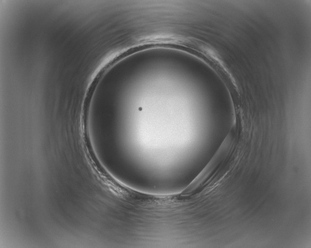 X0000056021328200508191317