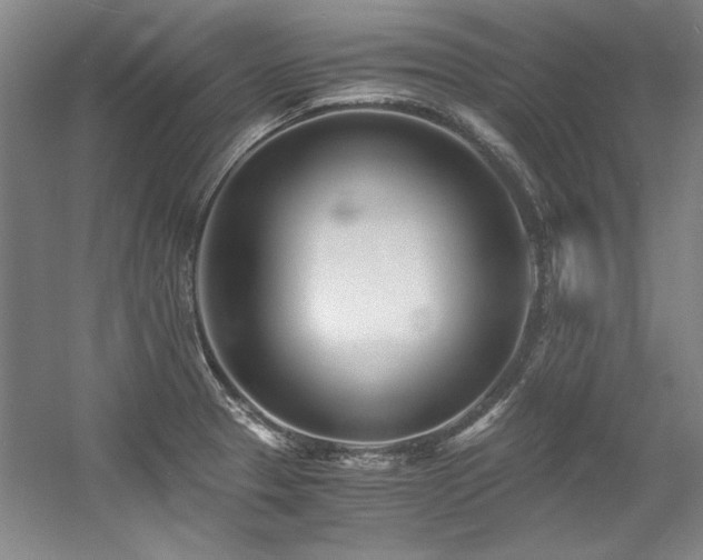 X0000056021329200508191317
