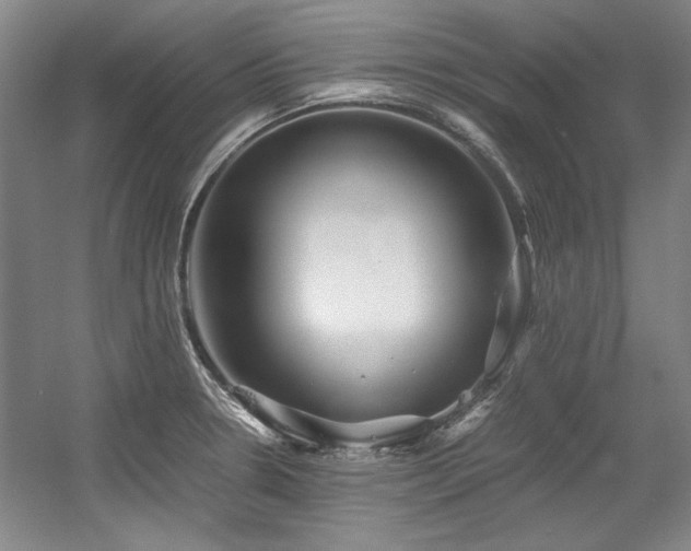 X0000056021330200508191317