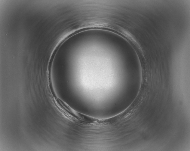 X0000056021332200508191317