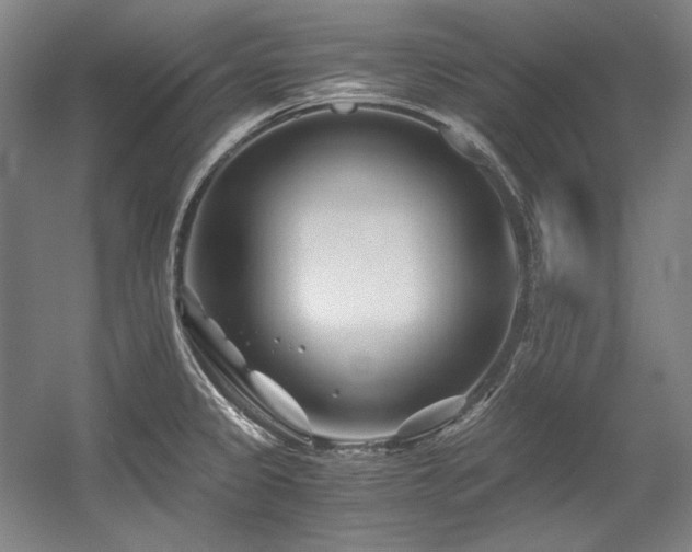 X0000056021333200508191317