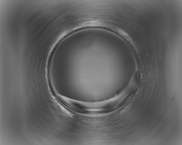 X0000056021334200508191317