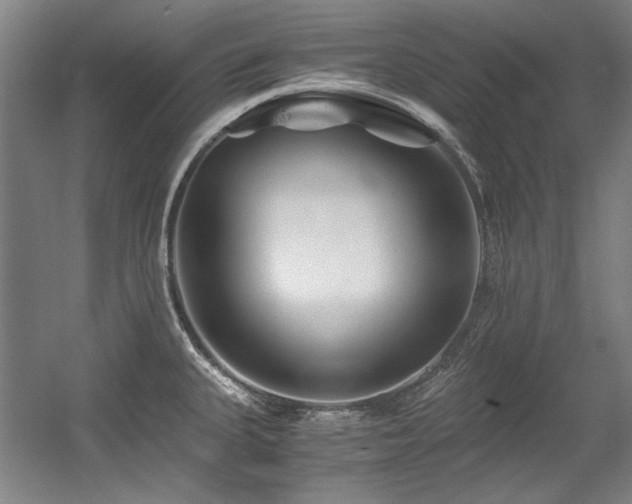 X0000056021335200508191317
