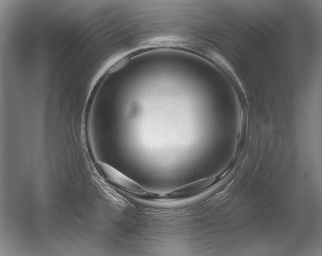 X0000056021336200508191317