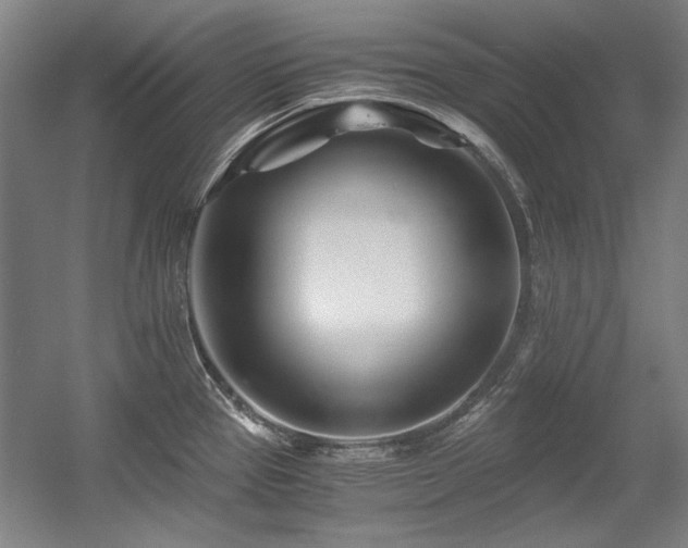X0000056021337200508191317