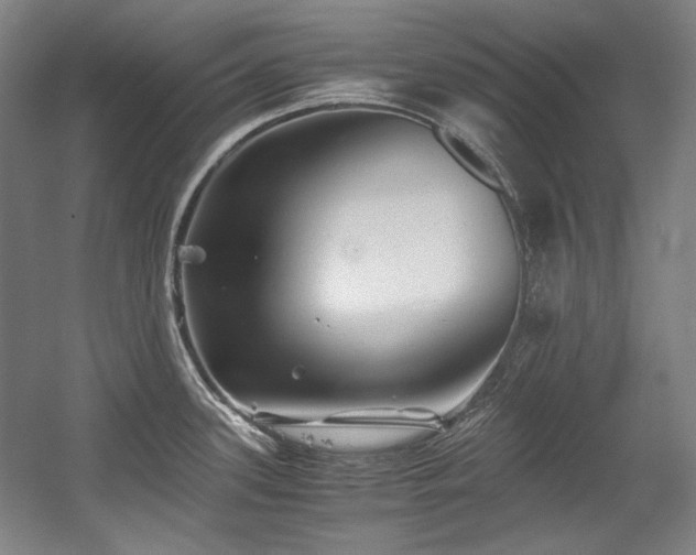 X0000056021339200508191317
