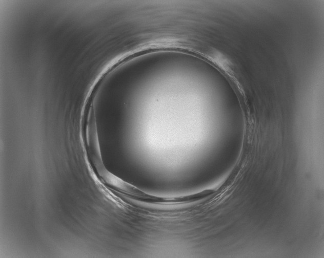 X0000056021342200508191317