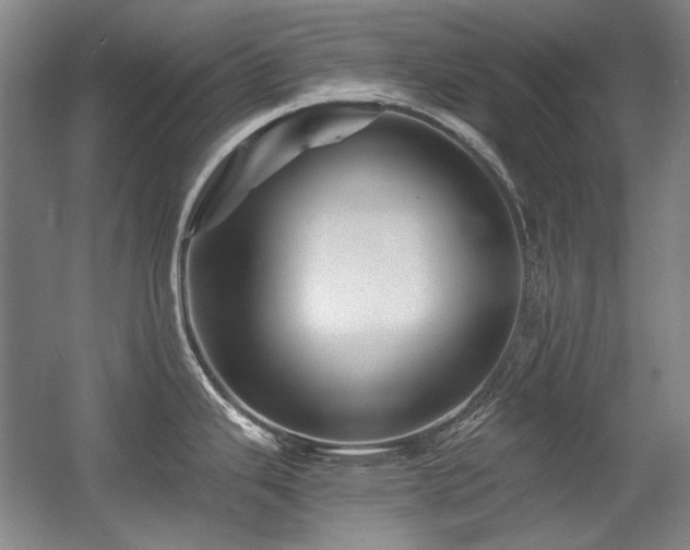 X0000056021343200508191317